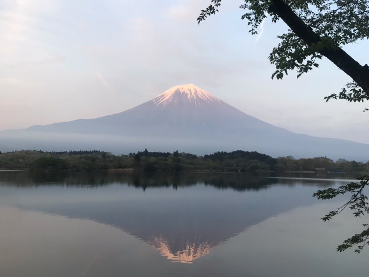 田貫湖は富士山をきれいに撮れる穴場スポット！逆さ富士の美しさに魅了