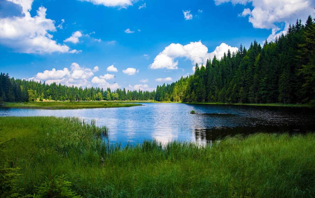 湖畔でゆっくり過ごしてみよう！湖ならではの良さと効果 | NATURES 
