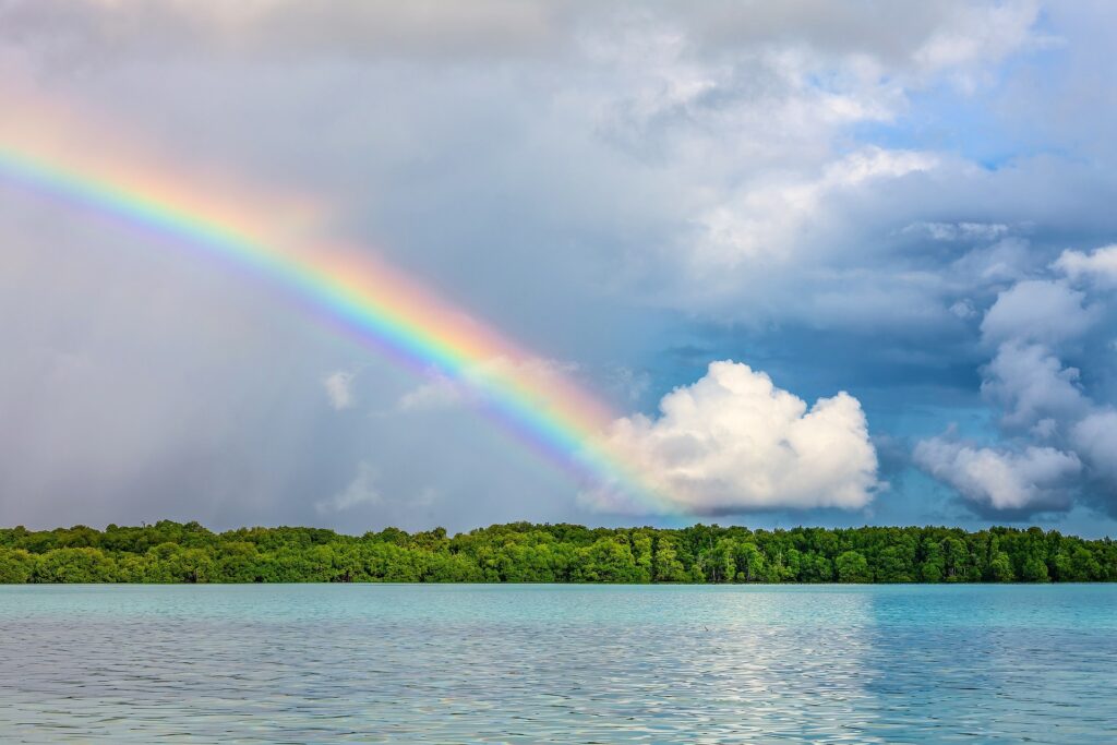 自然の魔法「虹」の不思議を解き明かそう | NATURES. | 自然体験・キャンプ・ワーケーション・SDGs・離島企画