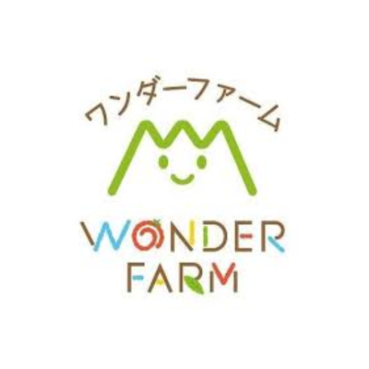 キャンプ場の種類と運営ポイント：ビジネス視点で押さえる【2025